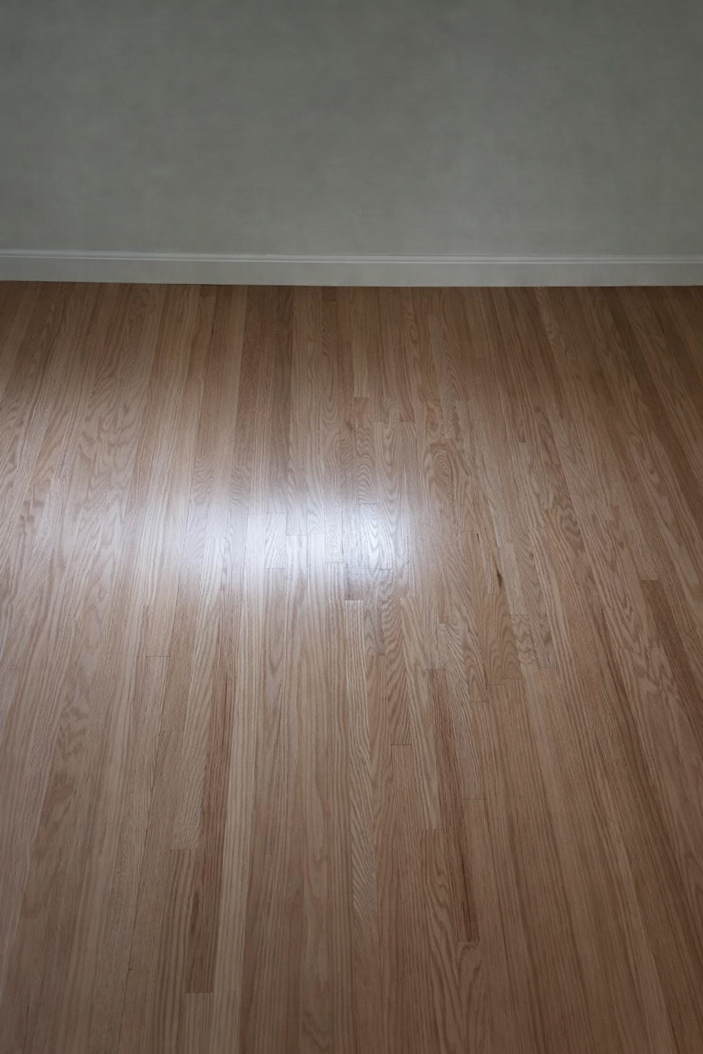 ChatGPT Image Feb 3, 2026, 03_46_43 PM